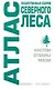 Атлас лекарственных сборов северного леса. Настои, отвары, мази - фото 1