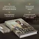 Граф Аверин. Колдун Российской империи - фото 5