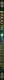 Рождество. История православного праздника от древности до наших дней - фото 5