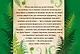 Тайны старого леса: карты-оракулы. Сказочные карты и руководство в подарочном футляре - фото 2