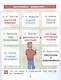 Детская риторика в рассказах и рисунках. 1 класс. Учебное пособие. В двух частях. Часть 2 - фото 4