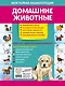 Домашние животные. Моя первая энциклопедия с наклейками - фото 2