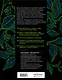 Дикий чай. Как создать элегантный напиток из растений живой природы (рисунок) - фото 2