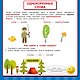 Русский язык. Все обучающие плакаты под одной обложкой. 1-4 классы - фото 5