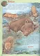 Кто живёт в лесу? Развивающие задания + более 60 наклеек с животными. 4-6 лет - фото 4