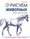 ЯХудожник.Рисуем животных - фото 1