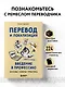 Перевод и локализация: введение в профессию. Основы, советы, практика - фото 4
