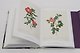 Redoute. Book of Flowers: 40th Anniversary Edition - фото 9