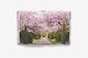 London in Bloom - фото 2