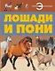 Лошади и пони - фото 1
