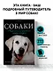 Собаки. Подарочная иллюстрированная энциклопедия - фото 4
