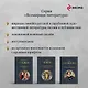 Комментарии к роману «Евгений Онегин». Биография А. С. Пушкина - фото 6