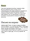 Книжная деревушка в Шотландии - фото 7