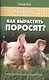 Как вырастить поросят?:разведение,содержание - фото 1