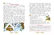 Учимся рассказывать и пересказывать: для детей 5-7 лет - фото 8