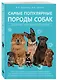 Самые популярные породы собак - фото 3