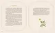 Акварельный лес. Ботанический дневник для любителей природы и акварели - фото 5