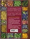 Большой справочник народной медицины. 3000 рецептов из более 300 лекарственных растений - фото 2