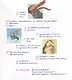 Про Осьминога - фото 3