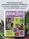 Дача Style, или огород для авантюристов. Как получить урожай, если вы еще не бабушка - фото 4