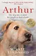 Arthur - фото 1