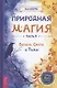 Природная магия. Часть I2. Баланс Света и Тьмы - фото 1