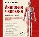 Анатомия человека. Компактный атлас. Опорно-двигательный аппарат - фото 1