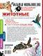 Животные. Большая энциклопедия с большими буквами - фото 2