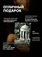 Дубровский - фото 7