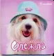 Мои первыя одежда - фото 1