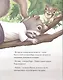Ньютон и Кюри: любознательные бельчата - фото 3