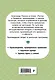 Руслан и Людмила - фото 2