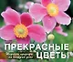 Прекрасные цветы. Шедевры природы на каждый день - фото 1