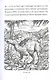 Какой была эпоха динозавров? - фото 6
