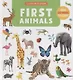 First Animals. Clever Encyclopedia. Over 500 Words To Learn - фото 1