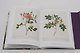 Redoute. Book of Flowers: 40th Anniversary Edition - фото 8