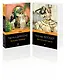 Набор "Несбывшиеся надежды" ( из 2-х книг: "Большие надежды", "Воспитание чувств") - фото 3