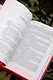 Усопшие. Книга 2 (Shiki). Ранобэ - фото 13