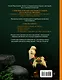 Ватные зверюшки - фото 2