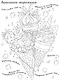 Вкусная раскраска "Мороженое и конфеты" - фото 2