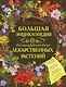 Большая энциклопедия высокоэффективных лекарственных растений - фото 1