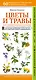 Цветы и травы. Мир удивительных растений. Наглядный карманный определитель - фото 1