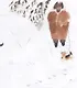 Тетушка Луна - фото 4