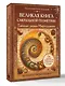 Великая книга сакральной геометрии. Тайные знаки мироздания. Полноцветное издание - фото 3