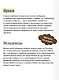 Это Спарта! Младенцы из яйца, жертвенные козлы и страсти потомков Геракла - фото 5