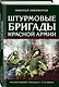 Штурмовые бригады Красной Армии: Фронтовой спецназ Сталина - фото 3