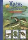 Жизнь в пресной воде. - фото 2