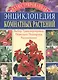 Иллюстрированная энциклопедия комнатных растений - фото 3