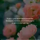 Розы. Как выбирать, выращивать и наслаждаться в любом саду - фото 11