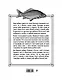 Рыбалка в России. Большая иллюстрированная энциклопедия - фото 2